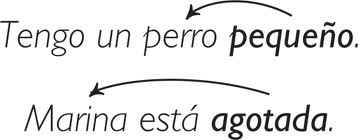 "CATEGORIAS GRAMATICALES"